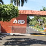 aniversario frei 5317