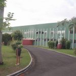 mini-IMG_5669