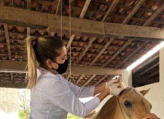 Por onde anda a médica veterinária Aline Rorato