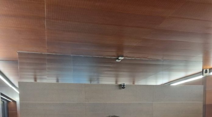 Professora da Unesp de Dracena fará palestras em vários países