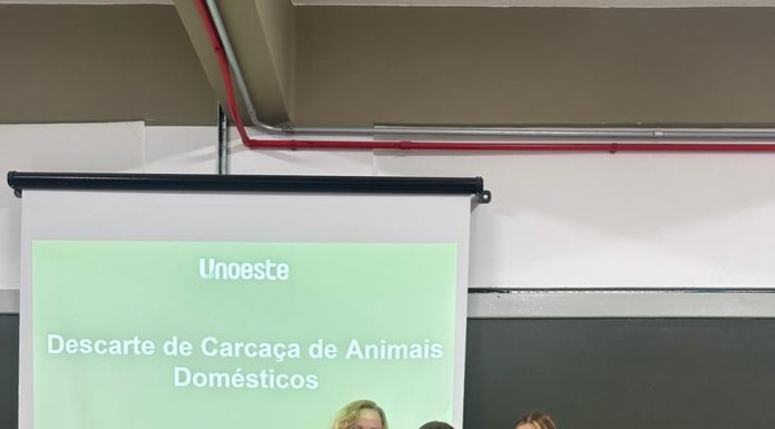 Universitária dracenense, de Medicina Veterinária consegue nota máxima no TCC