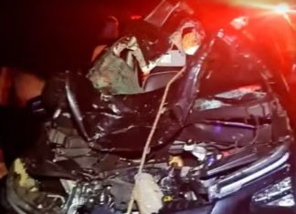 Trânsito:Quatro pessoas da mesma família ficam feridas após carro atropelar cavalo solto na SP-294; animal morreu