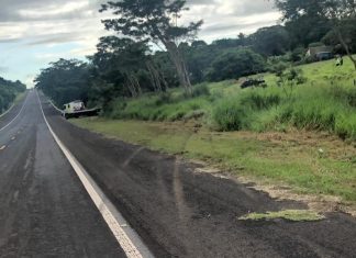 Trânsito: Capotamento na rodovia Júlio Budisk provoca a morte de uma pessoa
