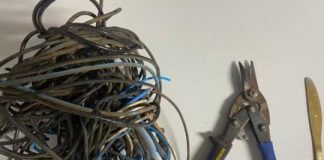 Ladrão folgado: homem é preso após furtar fios e dormir no telhado de casa devido ao ‘clima agradável’