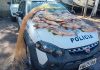 62 kg de peixes capturados ilegalmente em Lucélia são doados para lar de idosos de Dracena
