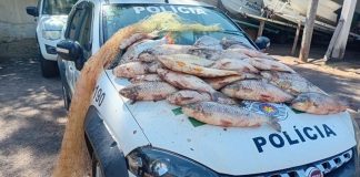 62 kg de peixes capturados ilegalmente em Lucélia são doados para lar de idosos de Dracena