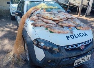 62 kg de peixes capturados ilegalmente em Lucélia são doados para lar de idosos de Dracena