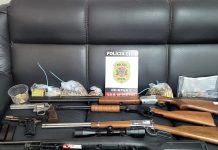 Polícia Civil apreende seis armas na residência de investigado por violência doméstica em Dracena