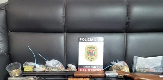 Polícia Civil apreende seis armas na residência de investigado por violência doméstica em Dracena