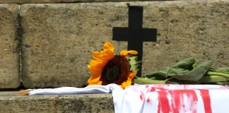 Número de vítimas de feminicídio supera em 38% registros oficiais