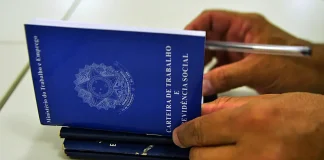 Pesquisa revela que brasileiro prefere emprego com carteira assinada