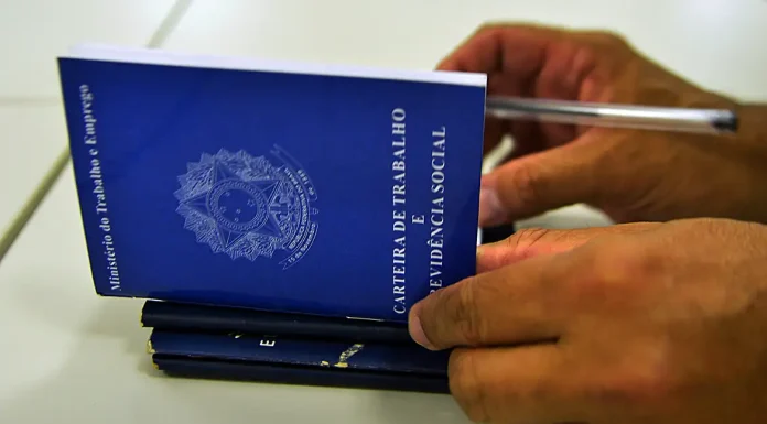 Pesquisa revela que brasileiro prefere emprego com carteira assinada