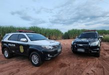 Polícia Civil recupera cinco veículos em menos de uma semana. Veja os detalhes