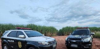 Polícia Civil recupera cinco veículos em menos de uma semana. Veja os detalhes