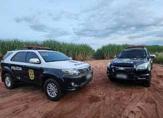 Polícia Civil recupera cinco veículos em menos de uma semana. Veja os detalhes