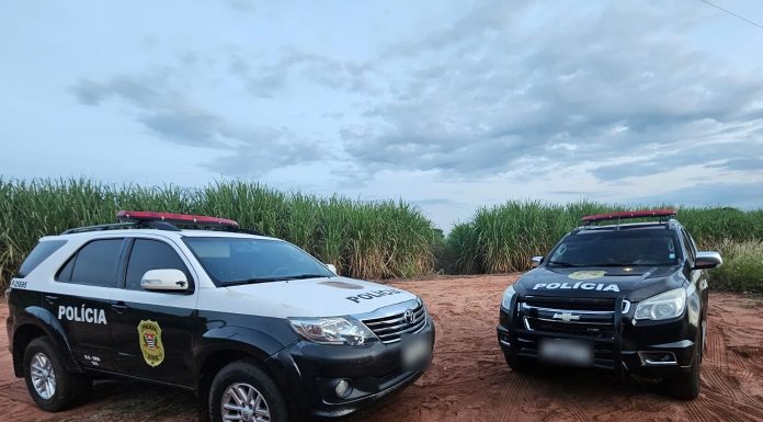 Polícia Civil recupera cinco veículos em menos de uma semana. Veja os detalhes