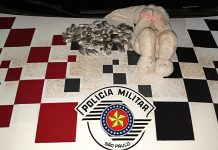 Polícia: 51 invólucros de Maconha é localizado por crianças dentro de Urso de Pelúcia em Dracena