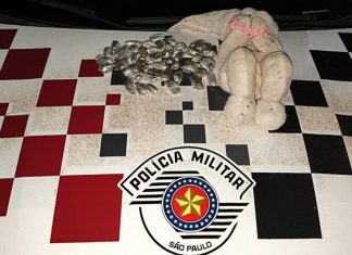 Polícia: 51 invólucros de Maconha é localizado por crianças dentro de Urso de Pelúcia em Dracena