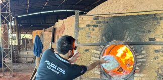 Polícia Civil incinera mais de 200 quilos de drogas apreendidas em Dracena