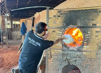 Polícia Civil incinera mais de 200 quilos de drogas apreendidas em Dracena