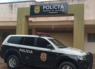 Polícia Civil prende mulher suspeita de praticar séria de furtos em veículos