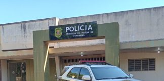 Polícia Civil prende mulher por furto e recupera carteira