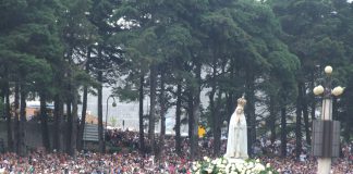 Dia 13 de maio, Dia de Nossa Senhora de Fátima. Rogai por nós que recorremos a vós