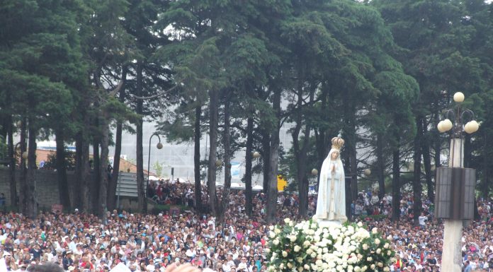 Dia 13 de maio, Dia de Nossa Senhora de Fátima. Rogai por nós que recorremos a vós