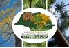 SILVINATIVAS SP – I Encontro Paulista de Silvicultura de Nativas: Produção, Conservação e Inovação,