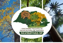 SILVINATIVAS SP – I Encontro Paulista de Silvicultura de Nativas: Produção, Conservação e Inovação,