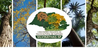 SILVINATIVAS SP – I Encontro Paulista de Silvicultura de Nativas: Produção, Conservação e Inovação,