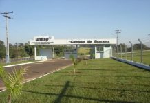 Definida data para a Corrida e Caminhada Unesp Dracena. Veja detalhes