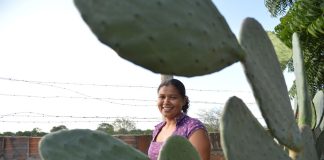 Mulheres comandam produção em duas em cada dez propriedades rurais
