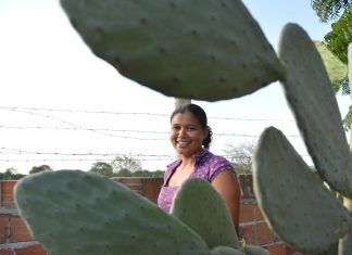 Mulheres comandam produção em duas em cada dez propriedades rurais