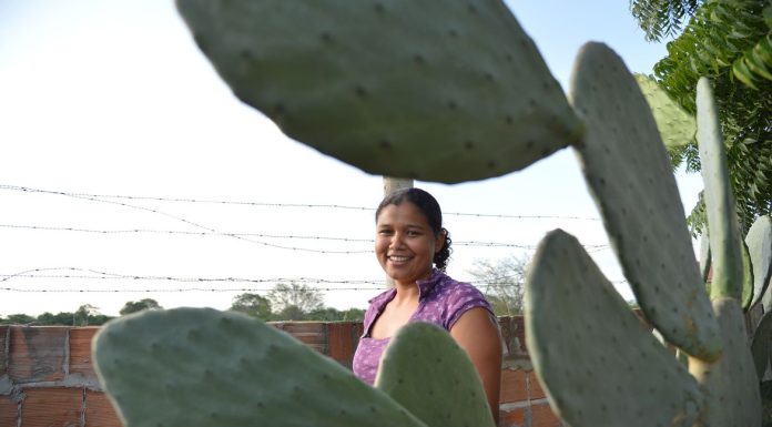 Mulheres comandam produção em duas em cada dez propriedades rurais