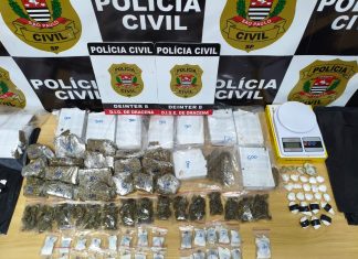 Polícia Civil desarticula “Casa Bomba! e apreende grande quantidade de drogas em Dracena