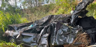 Trânsito: Motorista morre após carro capotar em ribanceira às margens de rodovia
