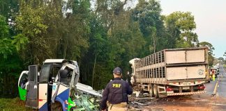 Tragédia: Acidente entre ônibus e caminhão mata 23 pessoas em estrada no Paraná
